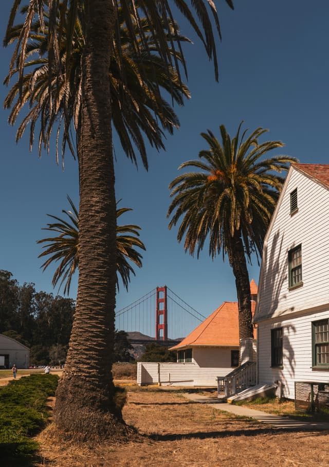 Navratri 2022 celebration